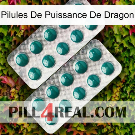 Dragon Power Pills dapoxetine2